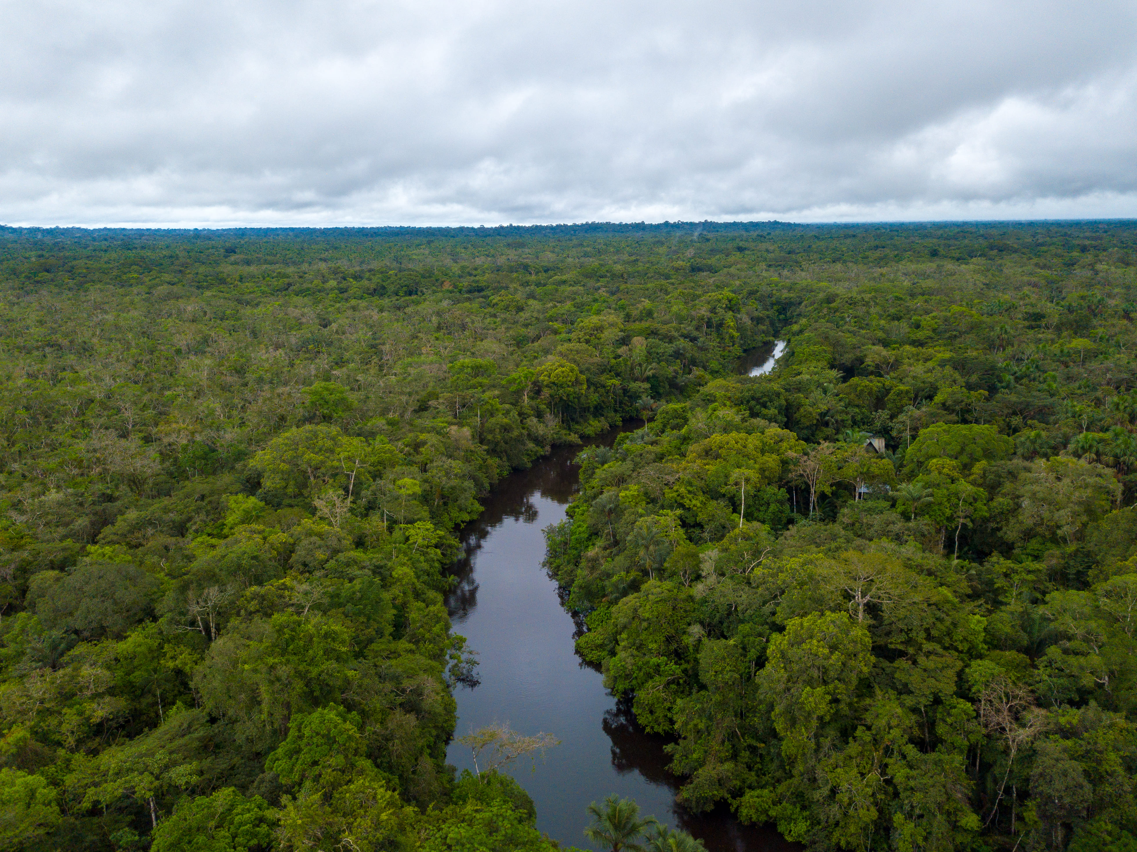 Réalisation drone professionnel